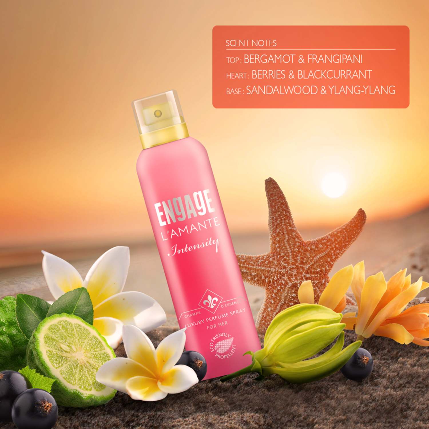 Perfume & BOV Spray Combo for Women Perfume & BOV Spray Combo for Women